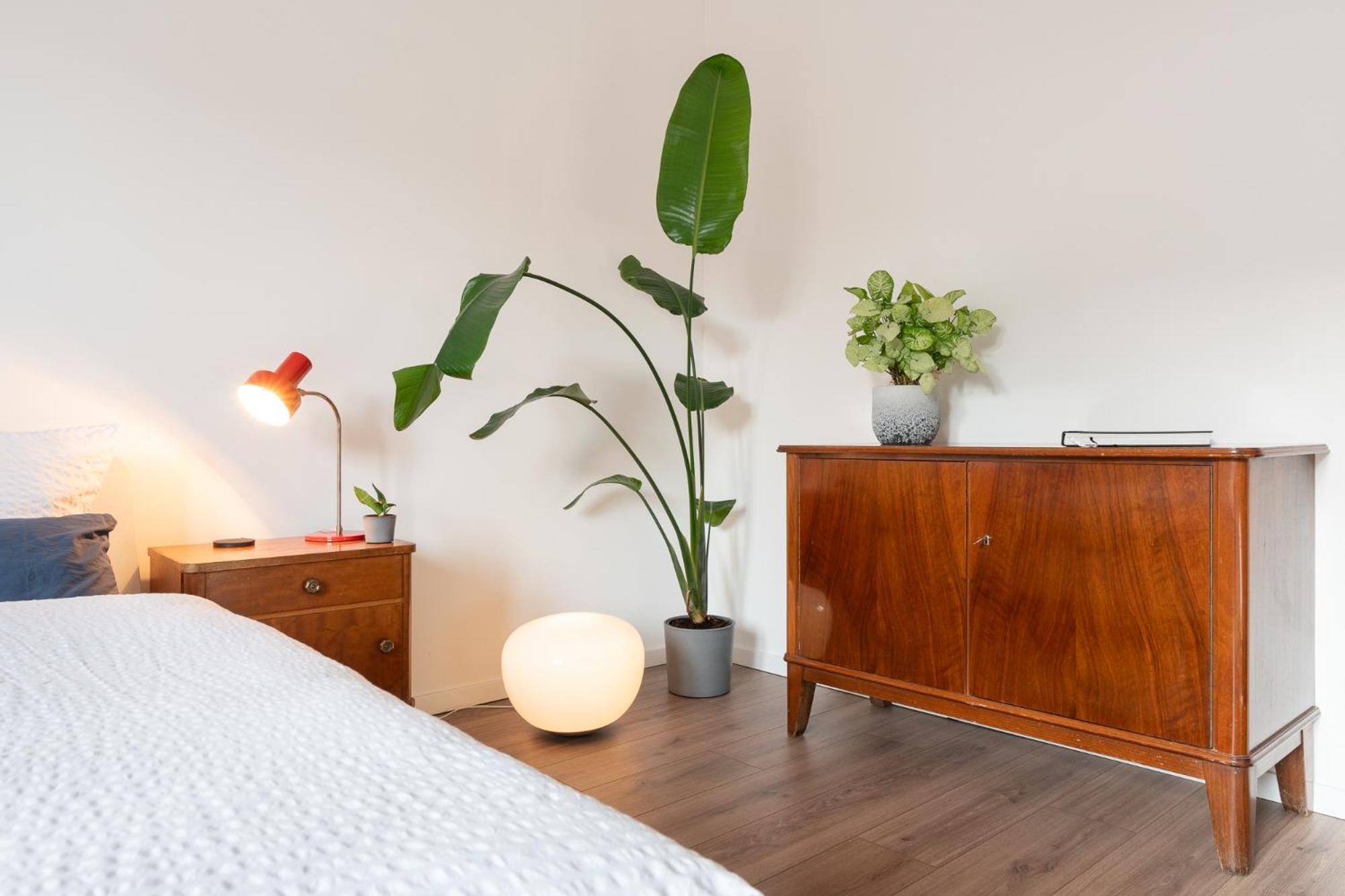 Luxurioeses Apartment, 10Min Innenstadt, Parkplatz Erfurt Eksteriør billede